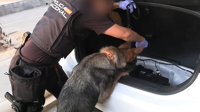 Spanish Police Arrest 78 in Major Smuggling Network Raft