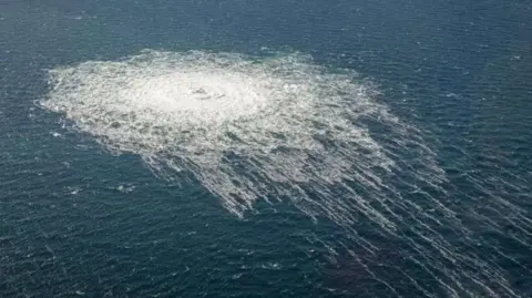 Ukrainian Ex-Soldier Alleges Italian Pressure Amid Nord Stream Case