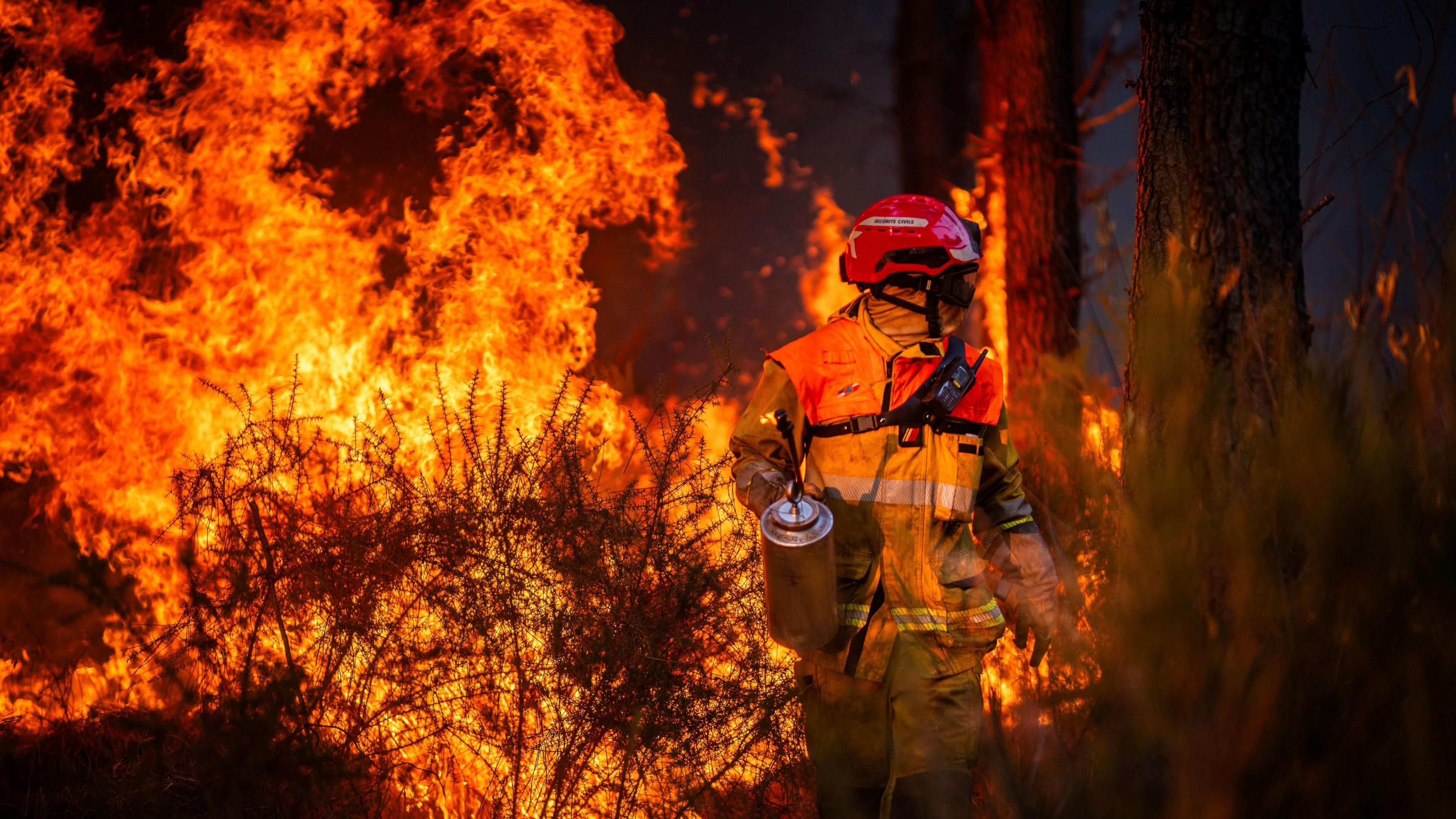 Hundreds Arrested Over France’s Wildfire Tsunami