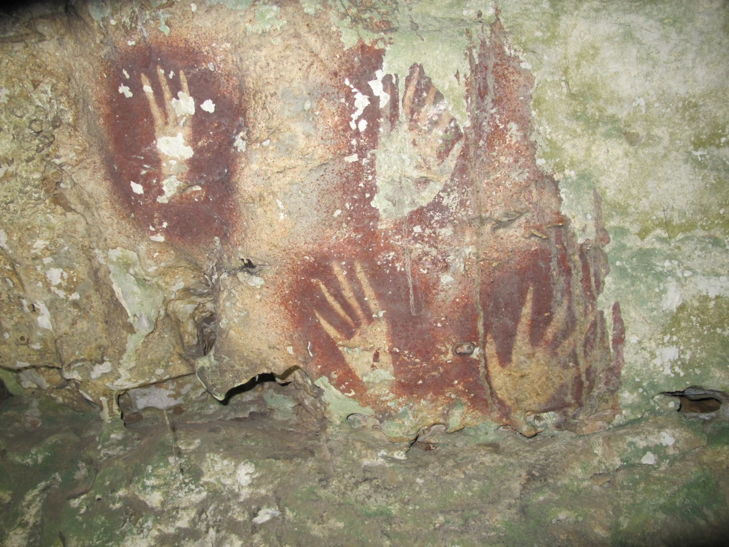 Ancient Handprints in Indonesian Cave May Be World's Oldest Rock Art