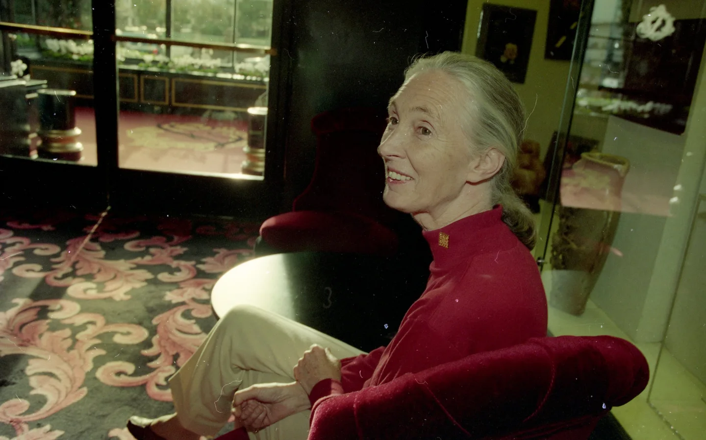 Remembering Jane Goodall: A Legacy of Compassion and Advocacy for Wildlife