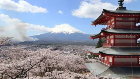 Fujiyoshida Cancels Cherry Blossom Festival Amid Surge of Disruptive Tourists