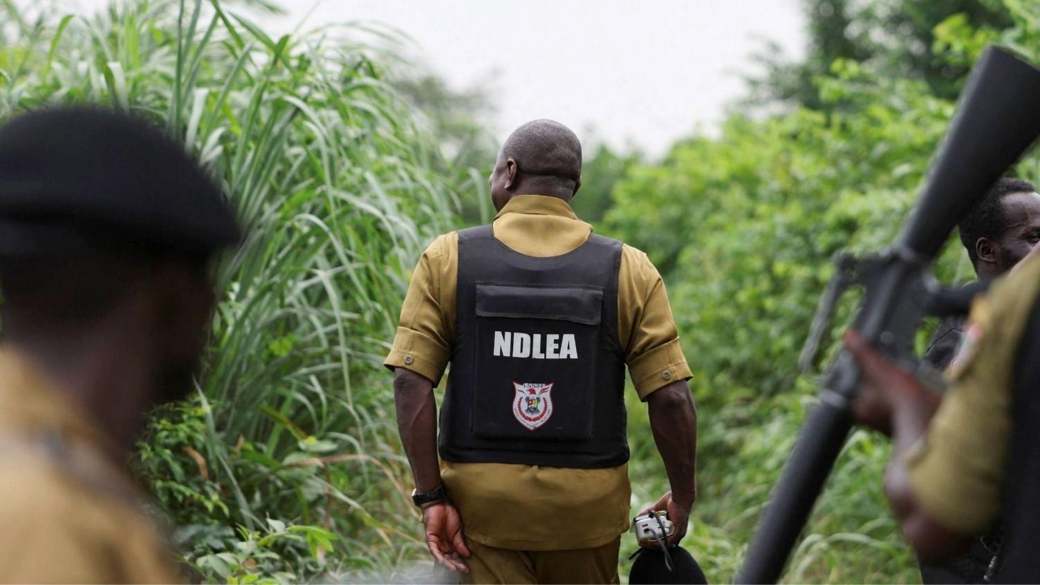 Mexico’s Drug Cartels Turn Nigeria into Meth Lab Hotspot