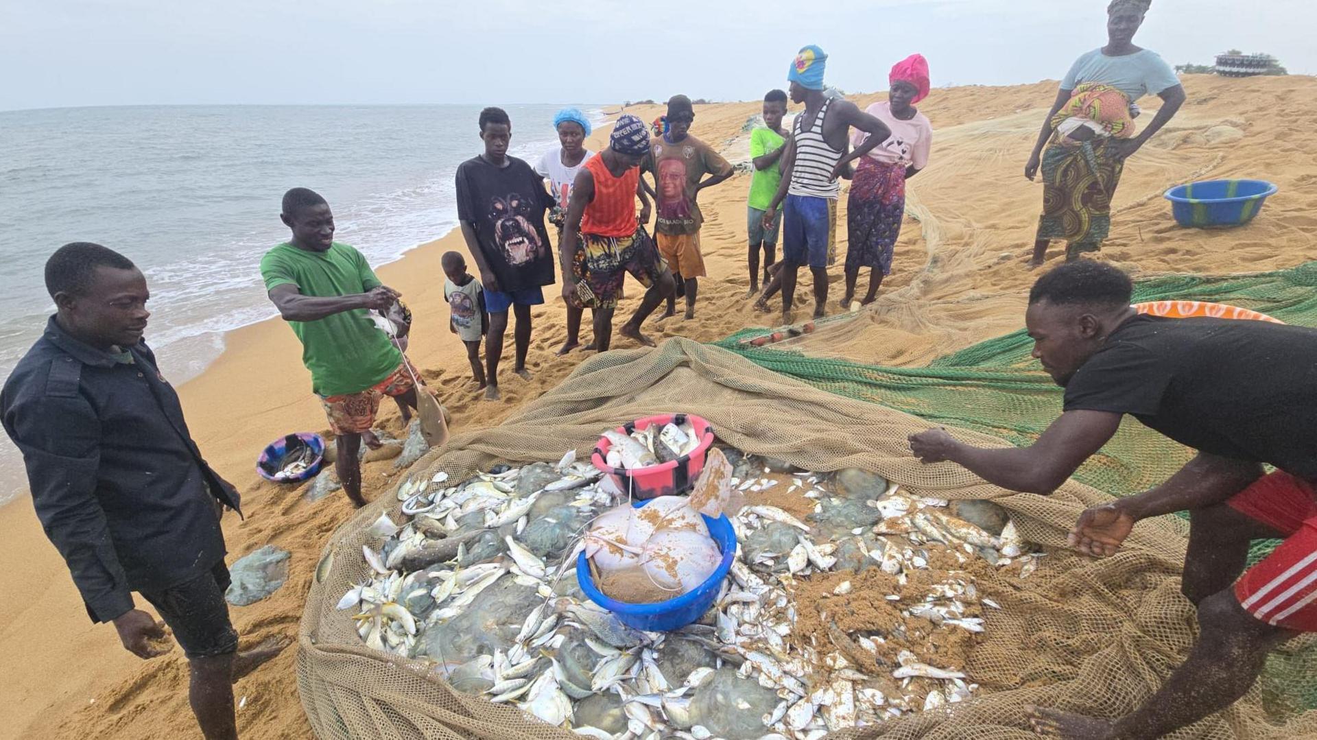 Sierra Leone Fishermen Accuse Chinese Trawlers of Devastating Their Catch