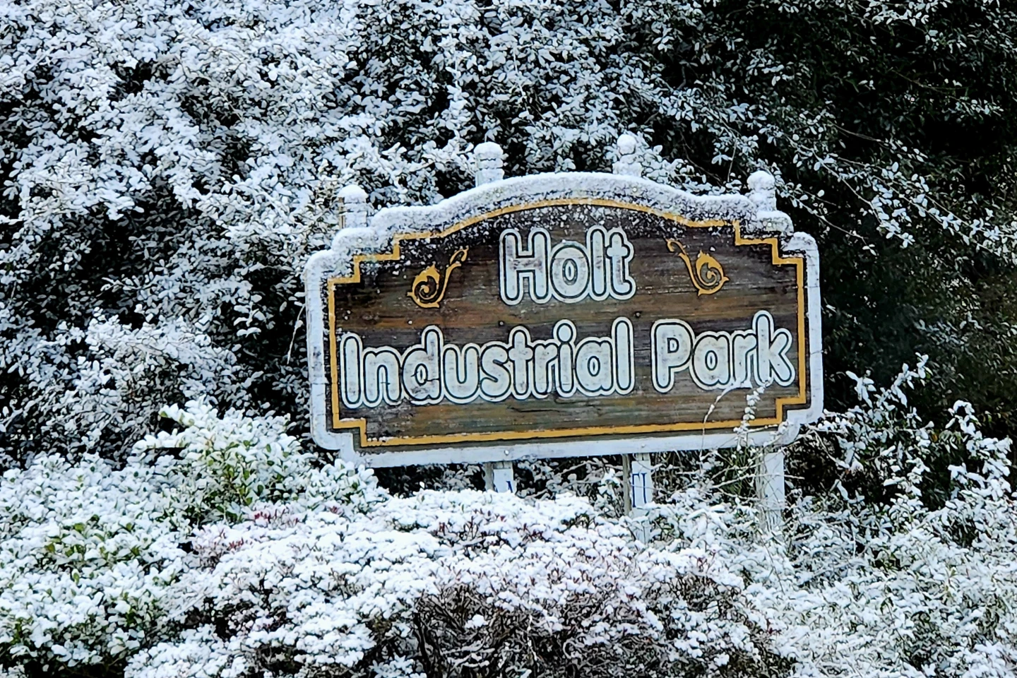 Florida Experiences Unusual January Snow for Second Consecutive Year