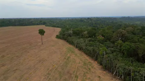 Brazil's Amazon Rainforest Faces Renewed Threat Amid Legislative Pressure