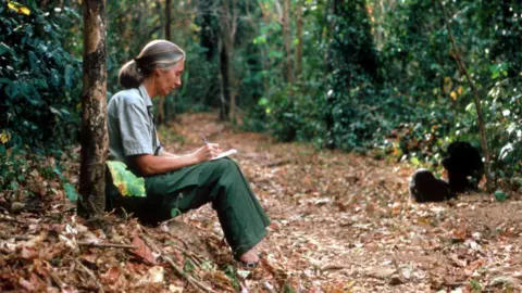 In Memoriam: Celebrating the Life and Legacy of Jane Goodall
