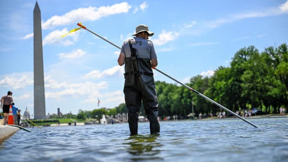 Trump Urges Immediate Work on Algae‑Infested Reflecting Pool