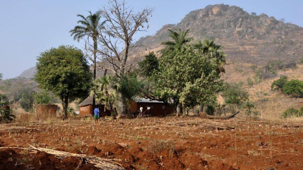 Togo Detains Two French Journalists Over 'False Declarations' Amid Press Freedom Concerns
