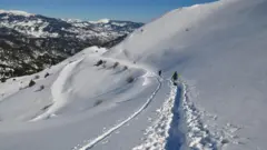 Tragic Avalanche Claims Four Hikers in Greece's Vardousia Mountains