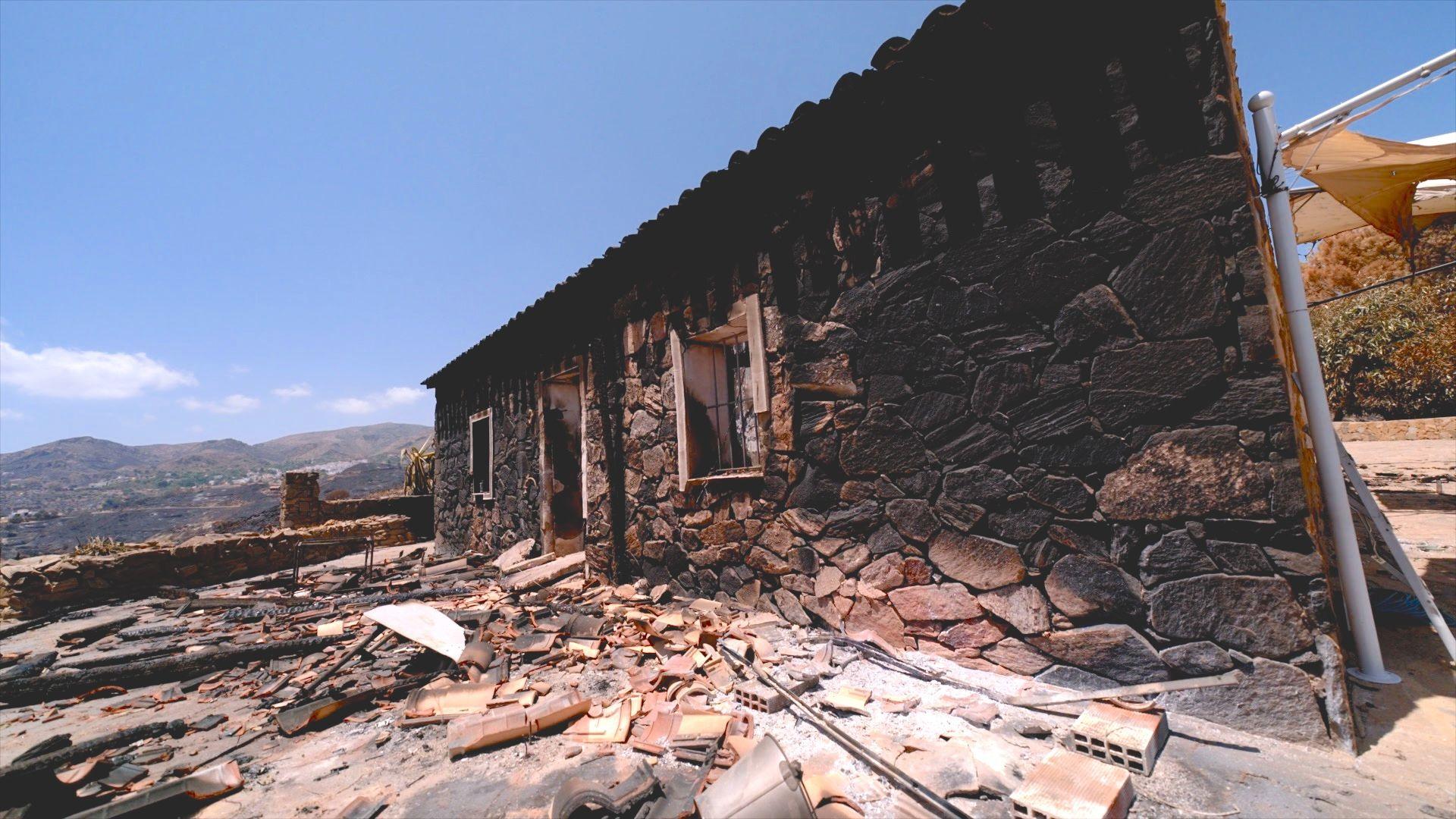 Survivor – Only 70‑Year‑Old Escaped Bédar Wildfire That Killed 13