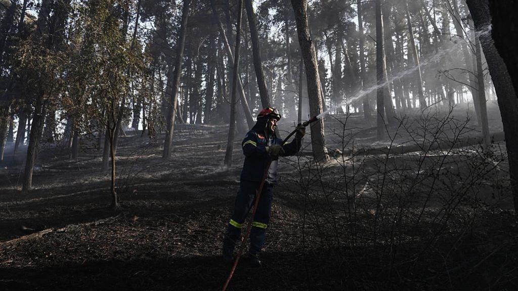 Greek Firefighters Battle Liti Wildfire: Two Dead, 100 Brush‑Forceers Mobilised