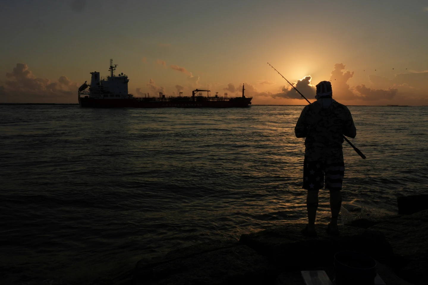 U.S. Panel Considers Exempting Gulf Drilling from Endangered Species Act