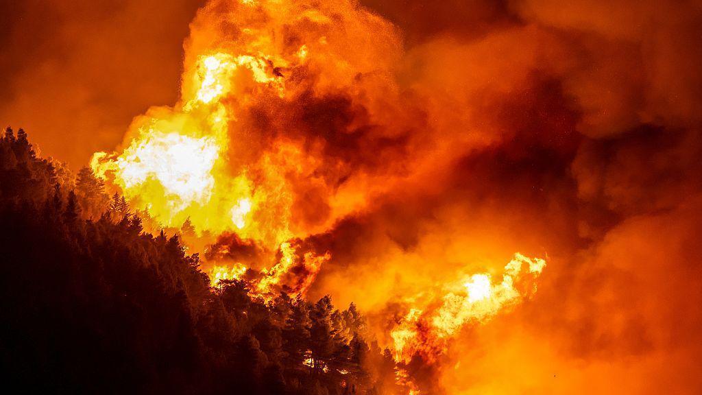 Wildfire Tragedy on Croatia’s Adriatic Coast
