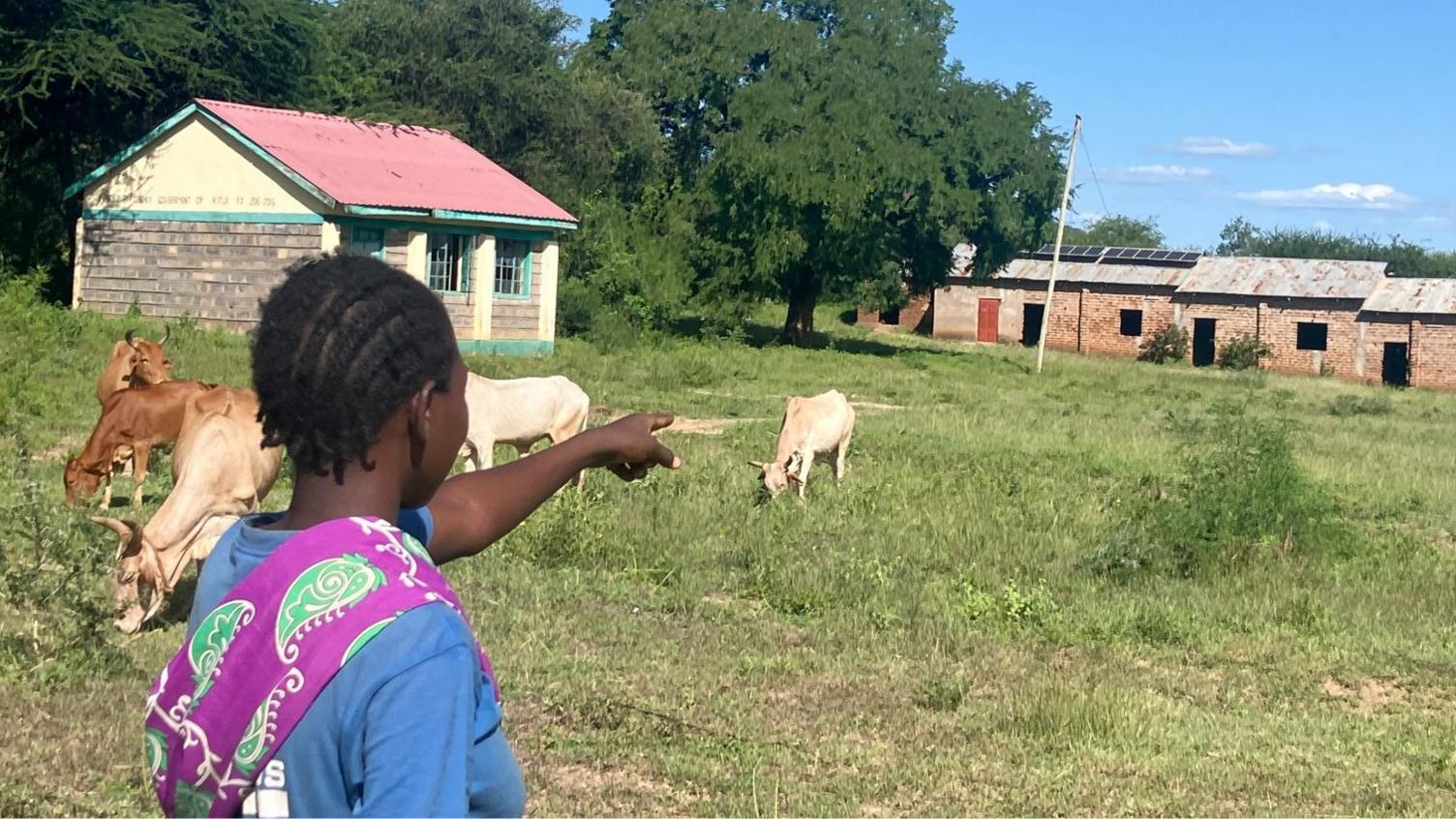 Cows Outnumber Pupils: Kenya’s Rural Schools Weakened by New Curriculum