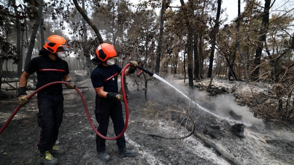 Volunteer Firefighter Suspected of Igniting Devastating French Forest Blaze