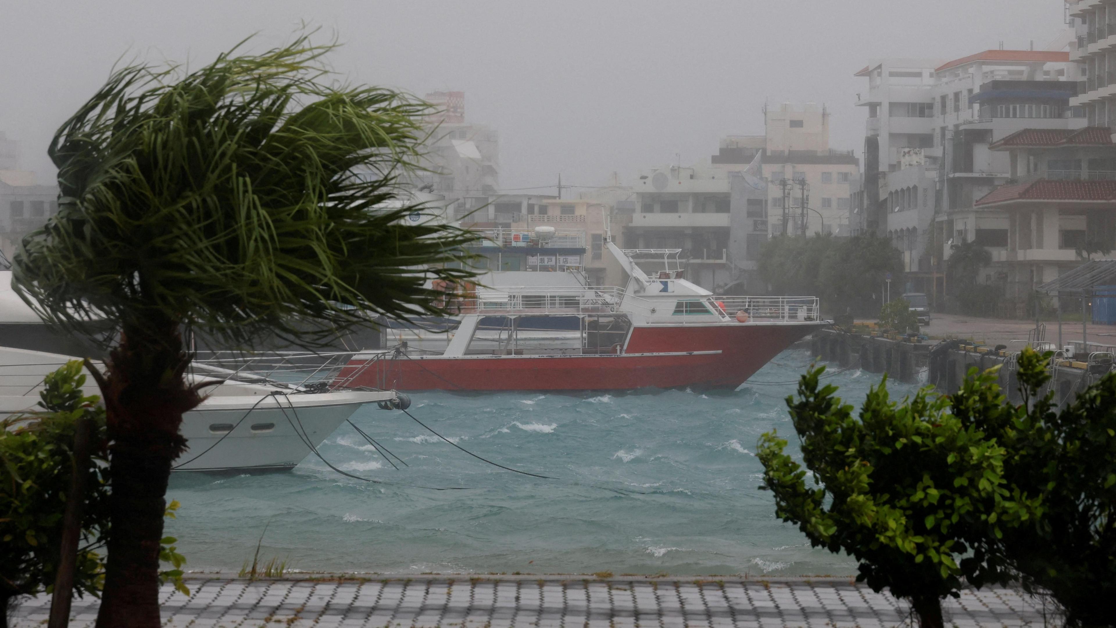 Typhoon Bavi Looms Over China: Mass Evacuations Ahead of Wenzhou Landfall