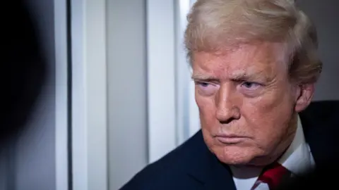 Trump Commutes Fraudster's Sentence Just Days Into Imprisonment